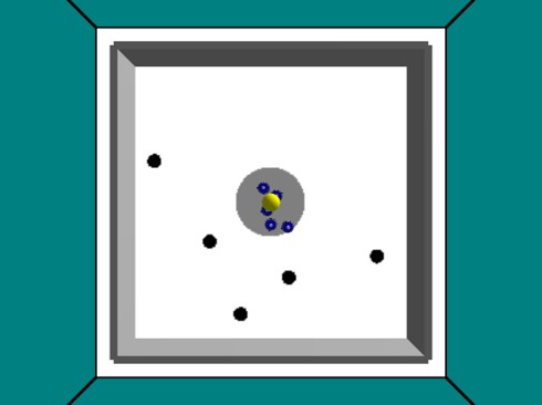 Experimental Setup